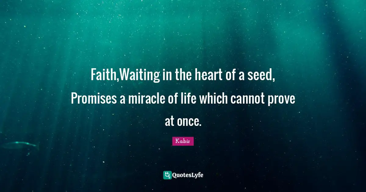 Faith,Waiting in the heart of a seed, Promises a miracle of life which cannot prove at once.