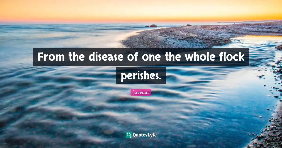 Juvenal Quotes: "From the disease of one the whole flock perishes."