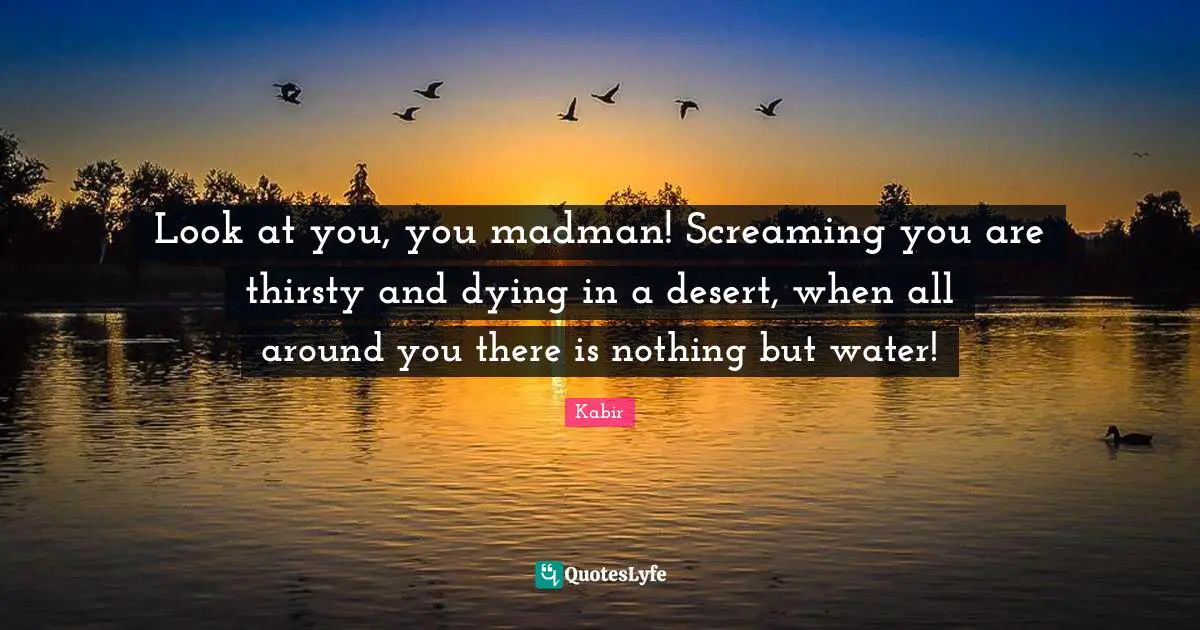 Dying Quotes: "Look at you, you madman! Screaming you are thirsty and dying in a desert, when all around you there is nothing but water!"
