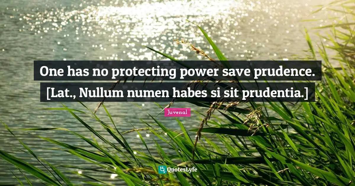 One has no protecting power save prudence. [Lat., Nullum numen habes si sit prudentia.]