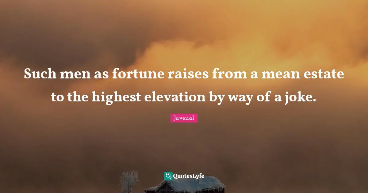 Such men as fortune raises from a mean estate to the highest elevation by way of a joke.