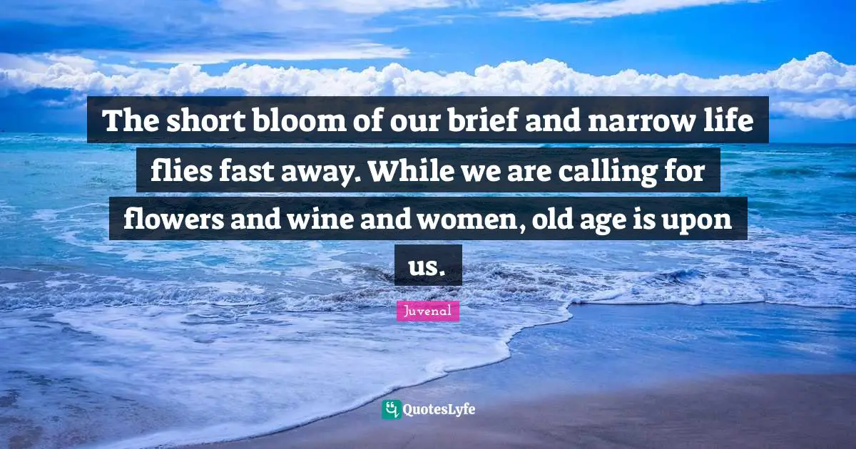 The short bloom of our brief and narrow life flies fast away. While we are calling for flowers and wine and women, old age is upon us.