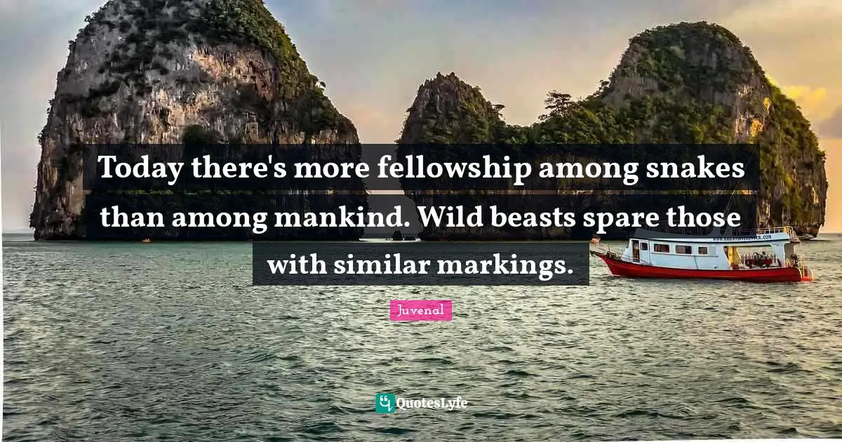 Juvenal Quotes: "Today there's more fellowship among snakes than among mankind. Wild beasts spare those with similar markings."