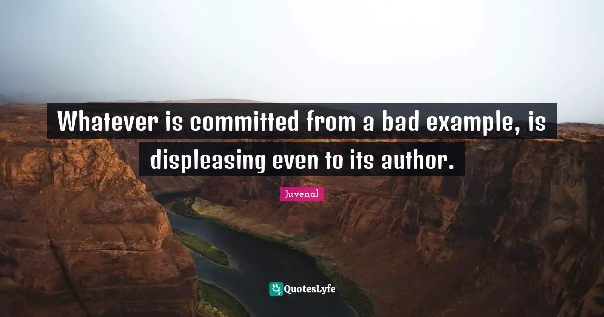 Whatever is committed from a bad example, is displeasing even to its author.