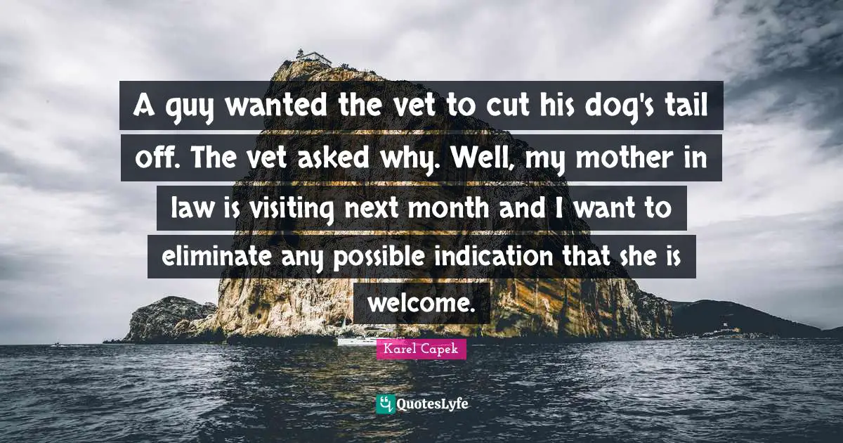 A guy wanted the vet to cut his dog's tail off. The vet asked why. Well, my mother in law is visiting next month and I want to eliminate any possible indication that she is welcome.