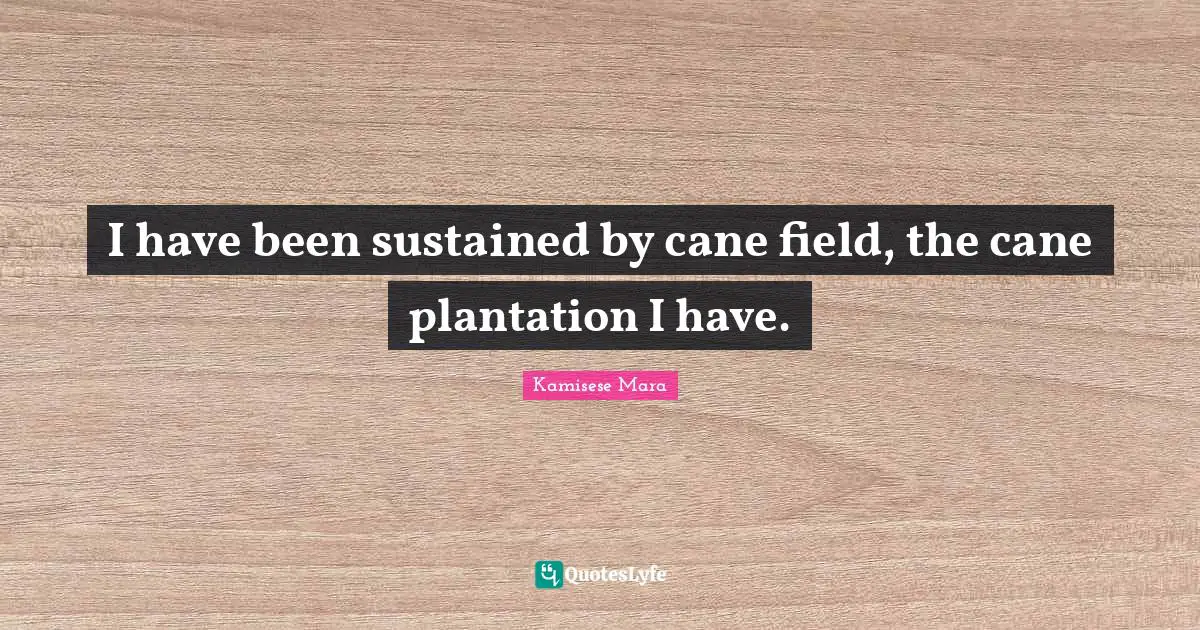 I have been sustained by cane field, the cane plantation I have.