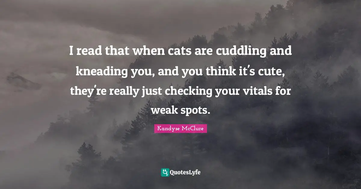 I read that when cats are cuddling and kneading you, and you think it's cute, they're really just checking your vitals for weak spots.