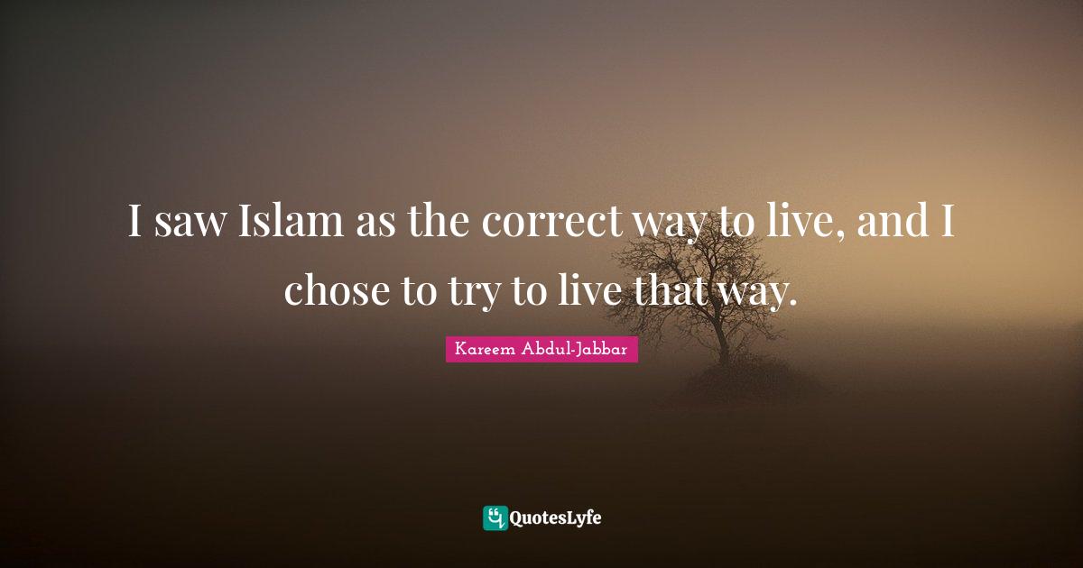 I saw Islam as the correct way to live, and I chose to try to live that way.