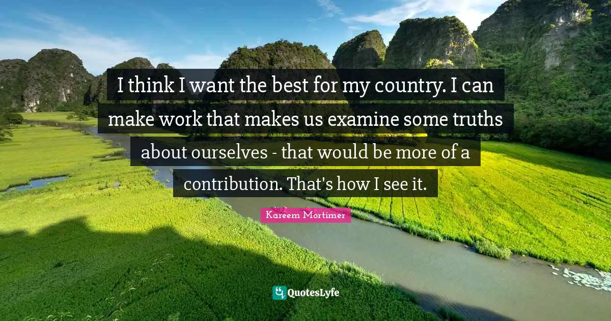I think I want the best for my country. I can make work that makes us examine some truths about ourselves - that would be more of a contribution. That's how I see it.