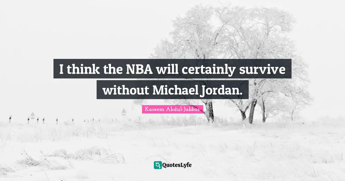 I think the NBA will certainly survive without Michael Jordan.