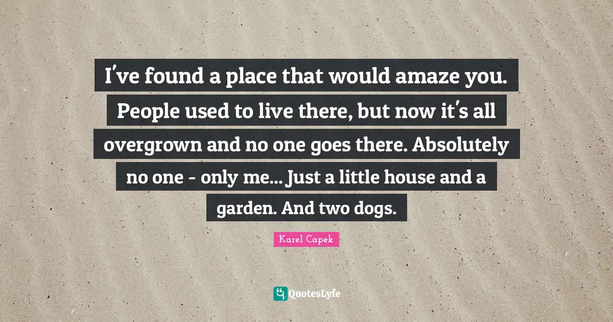 I've found a place that would amaze you. People used to live there, but now it's all overgrown and no one goes there. Absolutely no one - only me... Just a little house and a garden. And two dogs.
