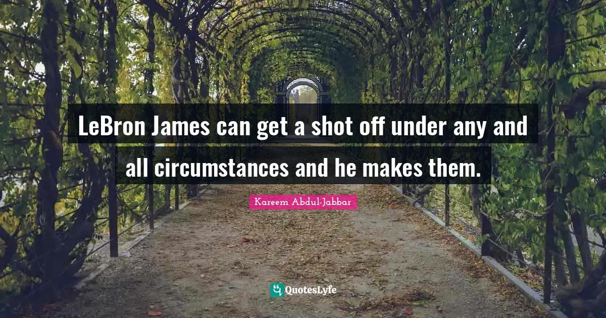 LeBron James can get a shot off under any and all circumstances and he makes them.