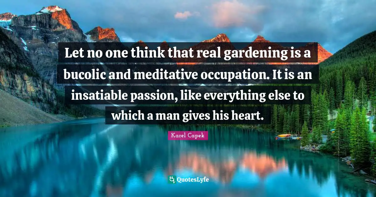 Let no one think that real gardening is a bucolic and meditative occupation. It is an insatiable passion, like everything else to which a man gives his heart.