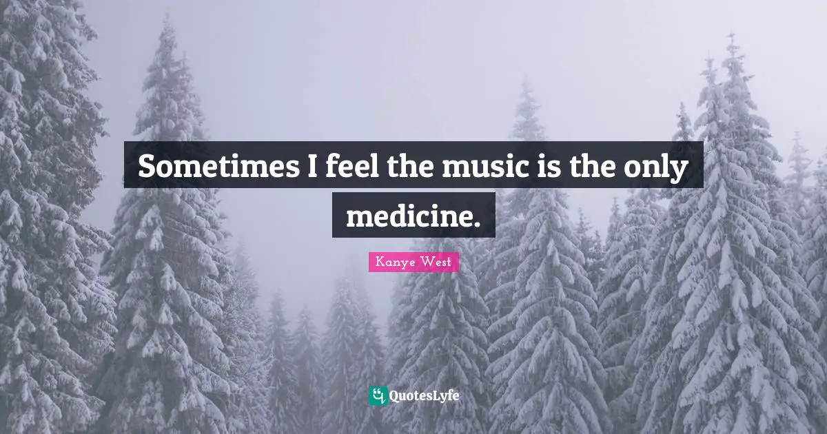 Sometimes I feel the music is the only medicine.