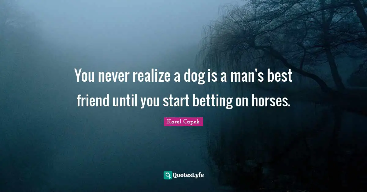 You never realize a dog is a man's best friend until you start betting on horses.
