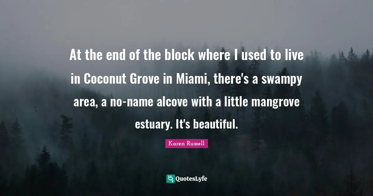 At the end of the block where I used to live in Coconut Grove in Miami, there's a swampy area, a no-name alcove with a little mangrove estuary. It's beautiful.