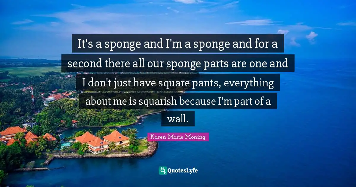 It's a sponge and I'm a sponge and for a second there all our sponge parts are one and I don't just have square pants, everything about me is squarish because I'm part of a wall.