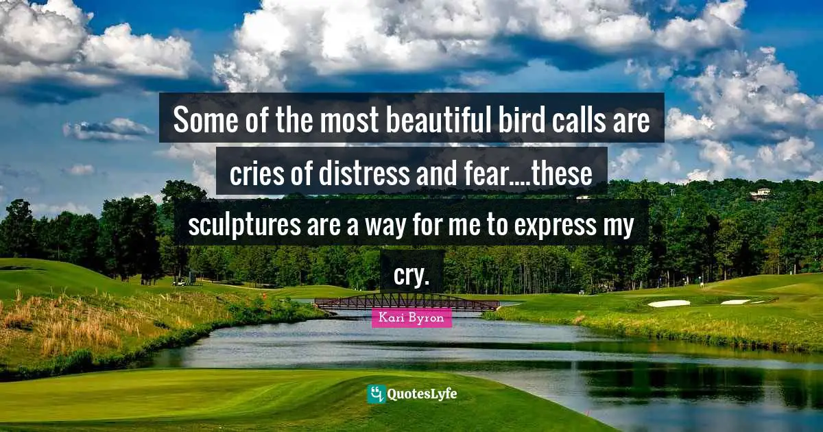 Some of the most beautiful bird calls are cries of distress and fear....these sculptures are a way for me to express my cry.