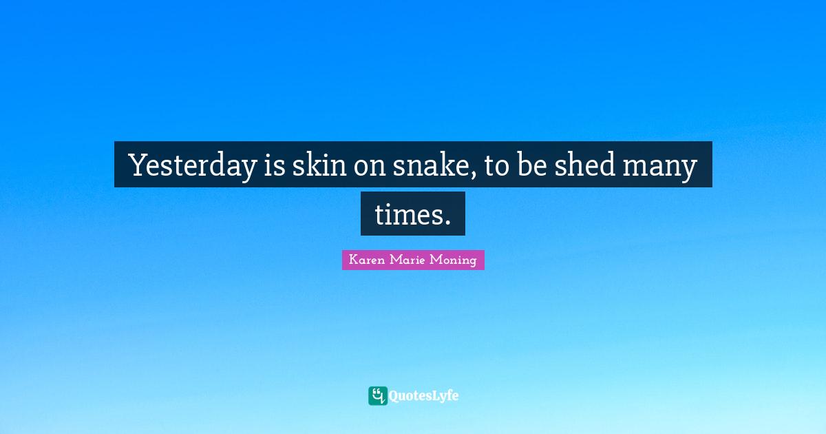 Yesterday is skin on snake, to be shed many times.