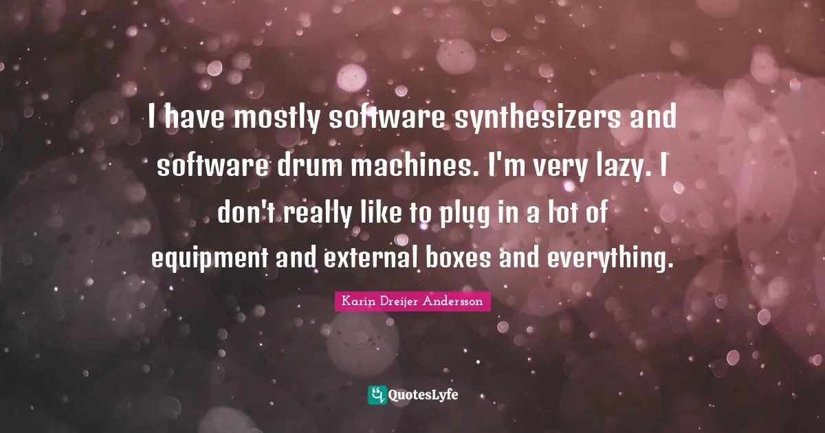 I have mostly software synthesizers and software drum machines. I'm very lazy. I don't really like to plug in a lot of equipment and external boxes and everything.