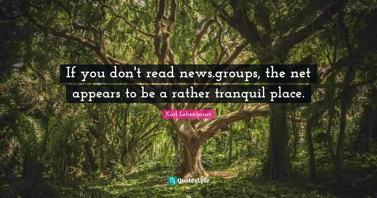 If you don't read news.groups, the net appears to be a rather tranquil place.
