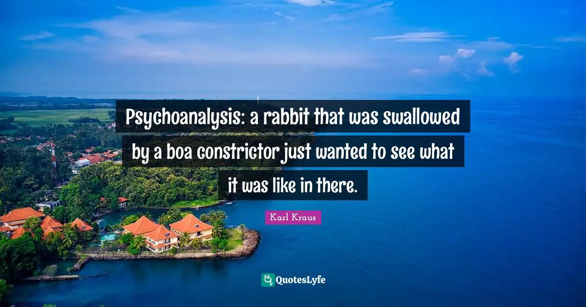 Psychoanalysis: a rabbit that was swallowed by a boa constrictor just wanted to see what it was like in there.