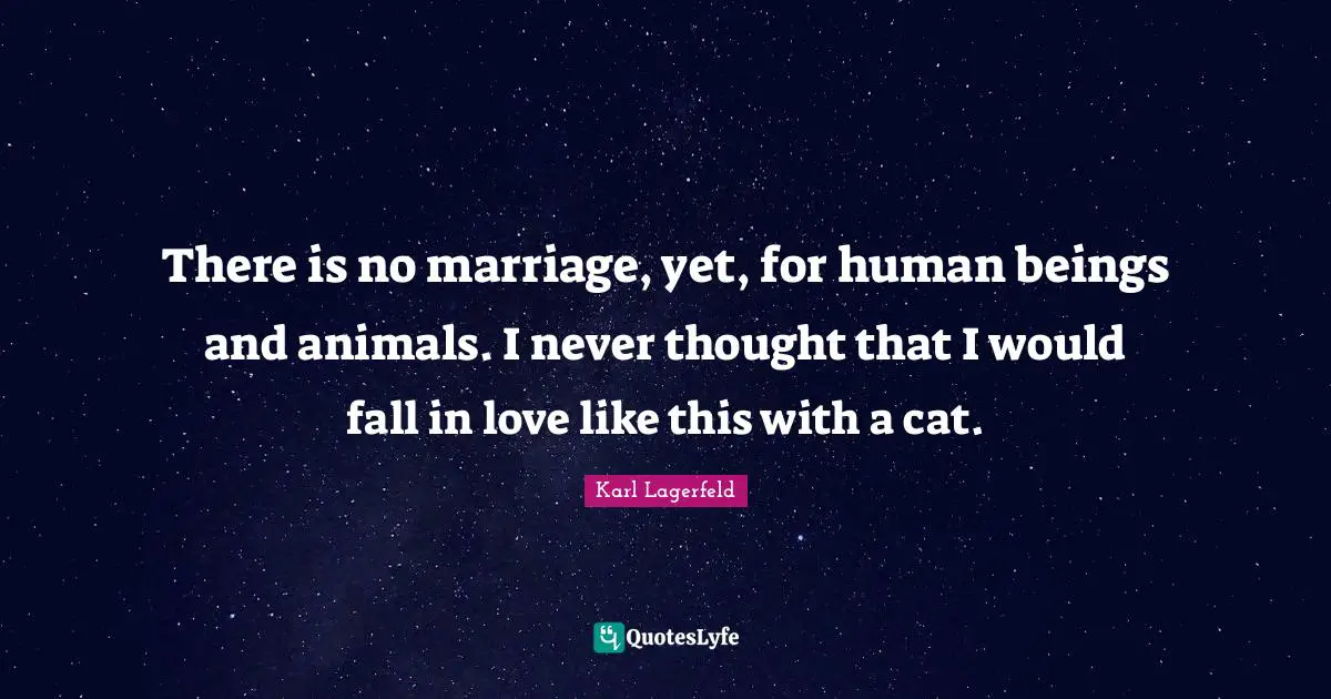 There is no marriage, yet, for human beings and animals. I never thought that I would fall in love like this with a cat.
