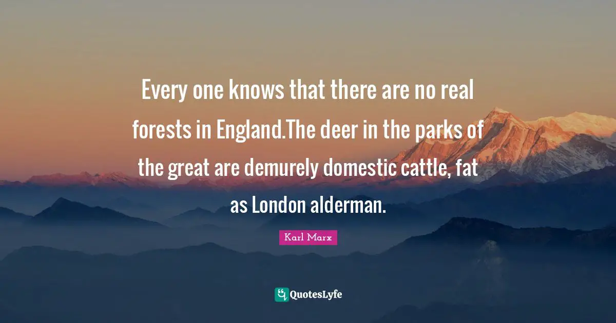Every one knows that there are no real forests in England.The deer in the parks of the great are demurely domestic cattle, fat as London alderman.
