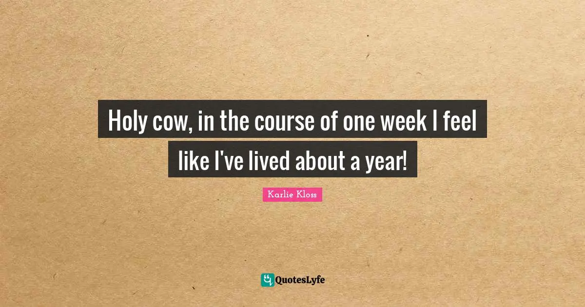 Karlie Kloss Quotes: "Holy cow, in the course of one week I feel like I've lived about a year!"