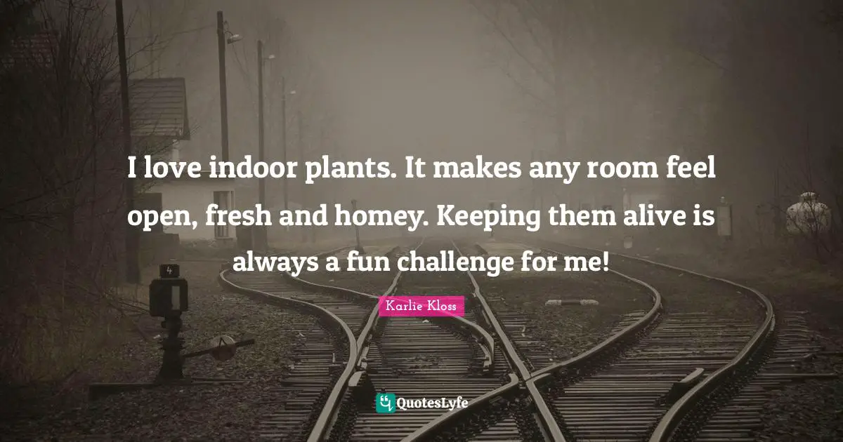 Karlie Kloss Quotes: "I love indoor plants. It makes any room feel open, fresh and homey. Keeping them alive is always a fun challenge for me!"