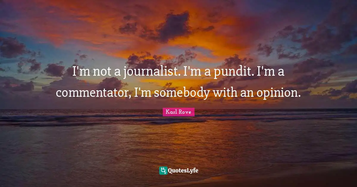 I'm not a journalist. I'm a pundit. I'm a commentator, I'm somebody with an opinion.