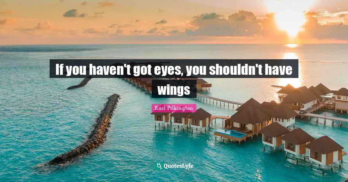 If you haven't got eyes, you shouldn't have wings