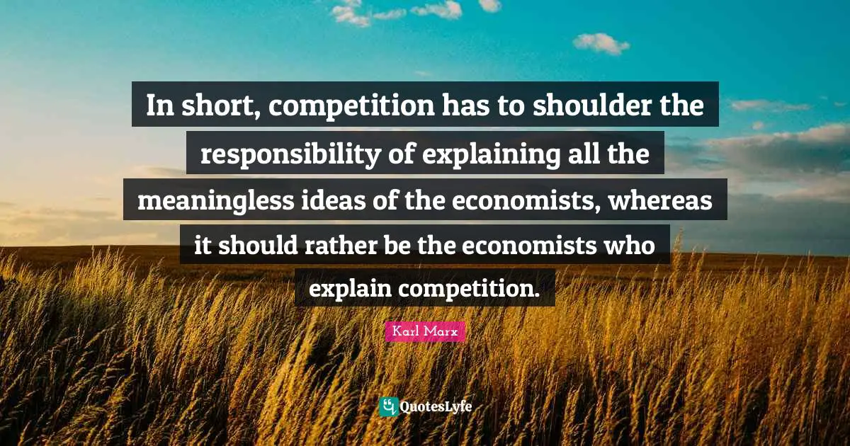 In short, competition has to shoulder the responsibility of explaining all the meaningless ideas of the economists, whereas it should rather be the economists who explain competition.
