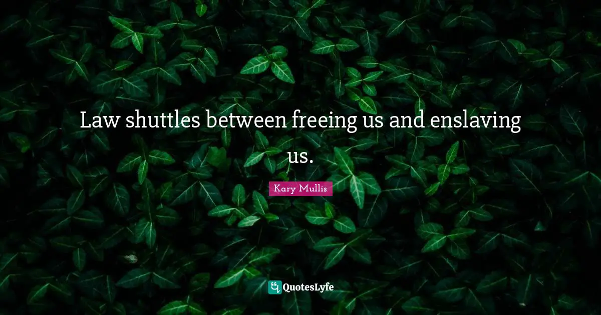 Law shuttles between freeing us and enslaving us.