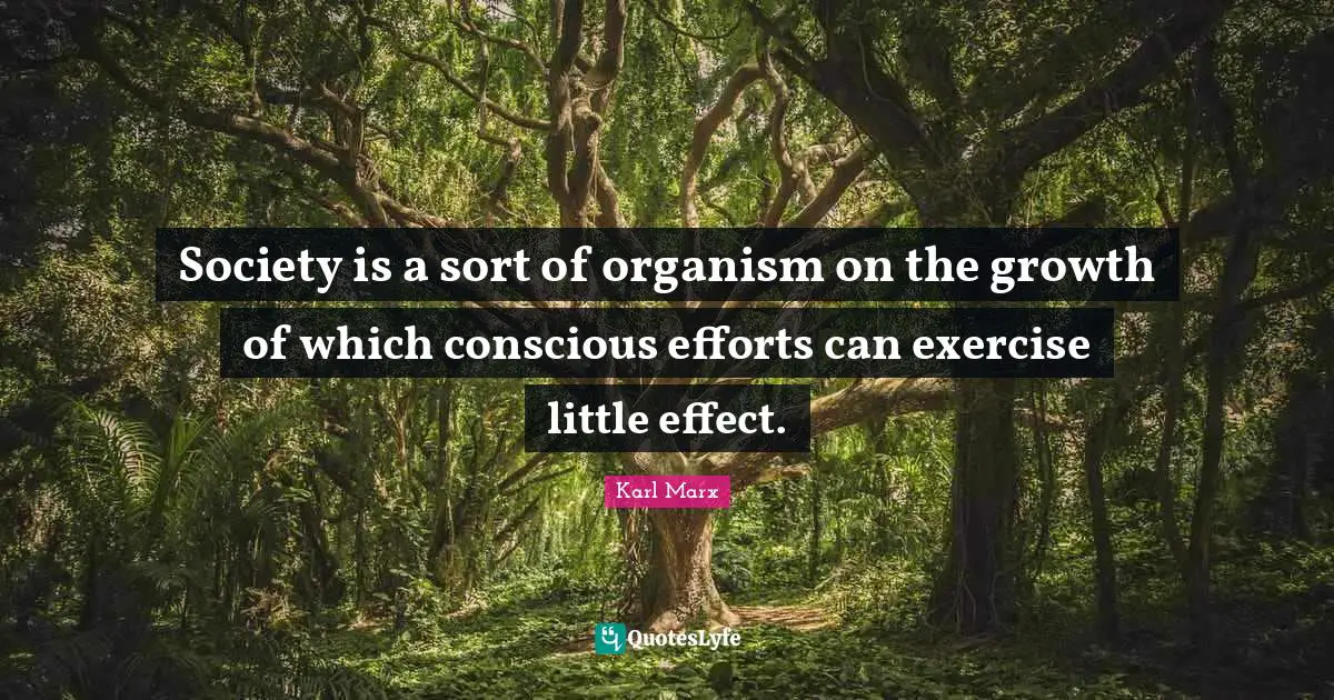 Society is a sort of organism on the growth of which conscious efforts can exercise little effect.