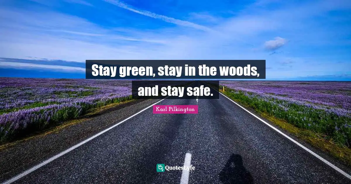 Karl Pilkington Quotes: "Stay green, stay in the woods, and stay safe."
