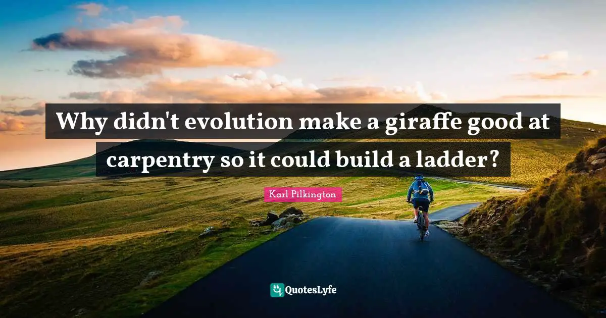 Karl Pilkington Quotes: "Why didn't evolution make a giraffe good at carpentry so it could build a ladder?"