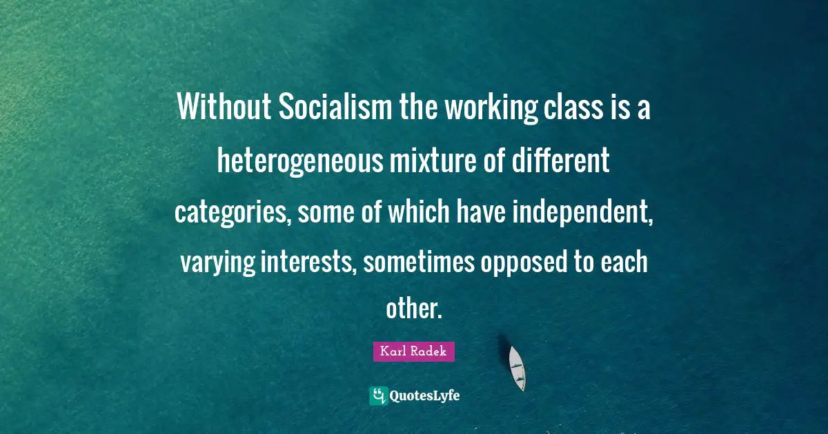 Without Socialism the working class is a heterogeneous mixture of different categories, some of which have independent, varying interests, sometimes opposed to each other.