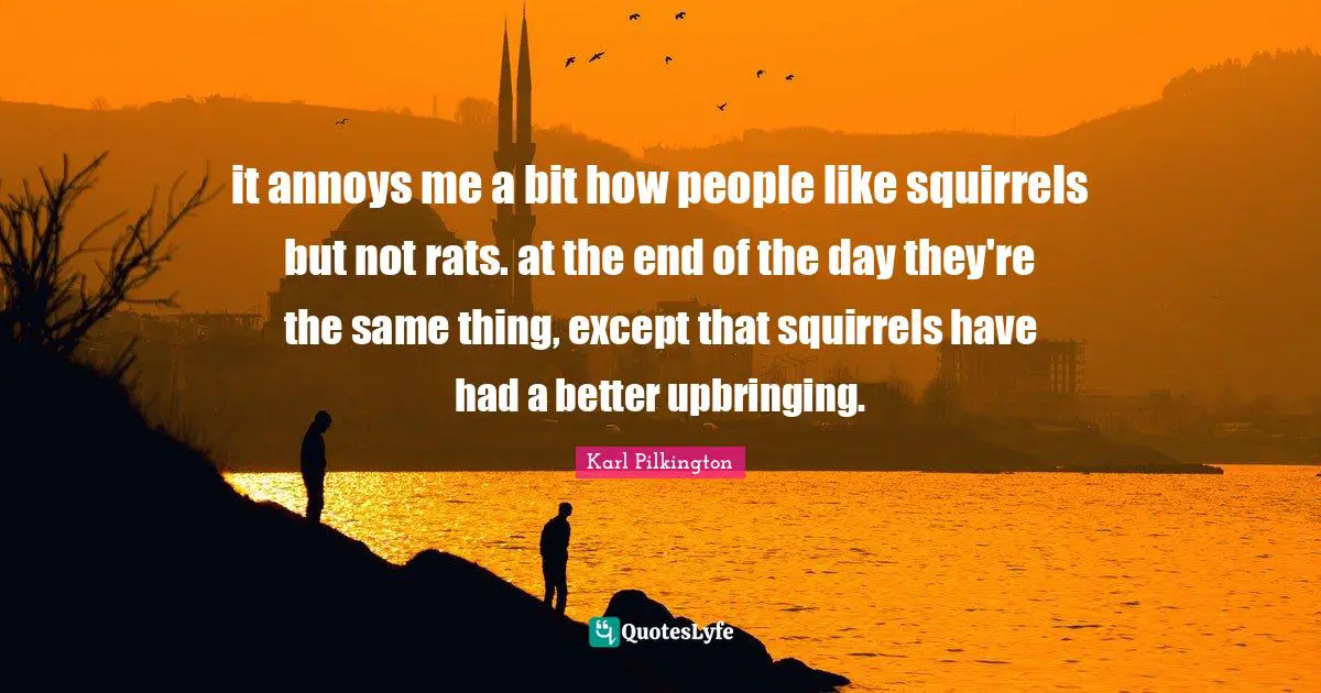 Karl Pilkington Quotes: "it annoys me a bit how people like squirrels but not rats. at the end of the day they're the same thing, except that squirrels have had a better upbringing."