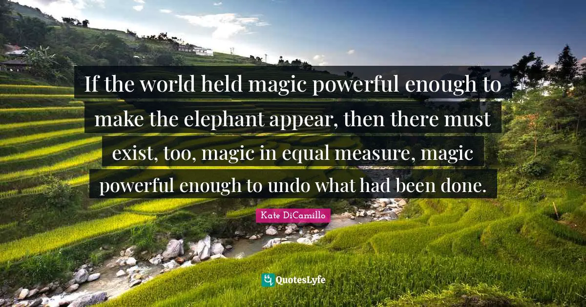 If the world held magic powerful enough to make the elephant appear, then there must exist, too, magic in equal measure, magic powerful enough to undo what had been done.