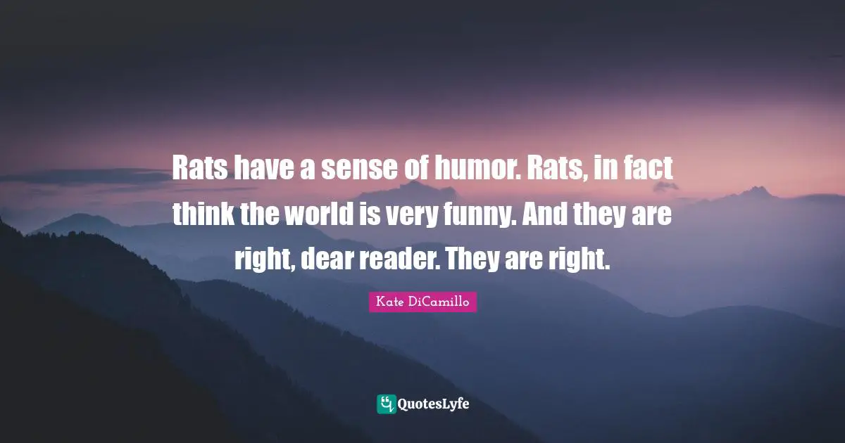 Rats have a sense of humor. Rats, in fact think the world is very funny. And they are right, dear reader. They are right.