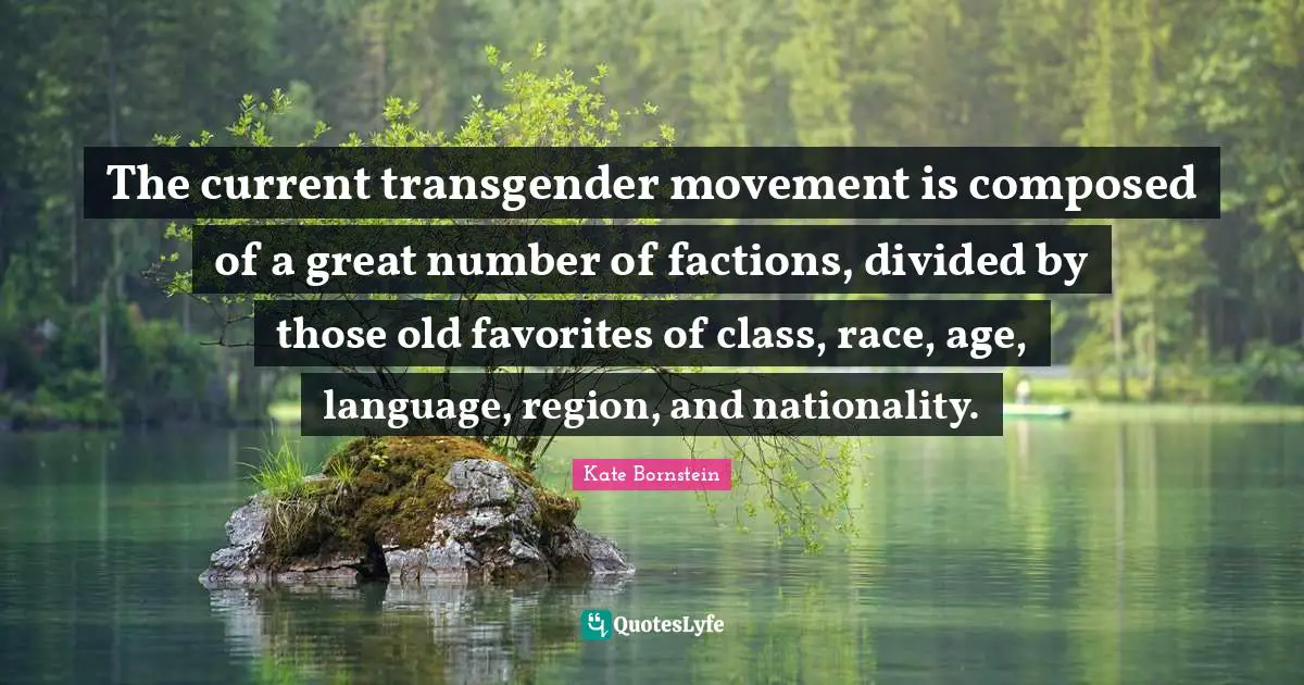 The current transgender movement is composed of a great number of factions, divided by those old favorites of class, race, age, language, region, and nationality.