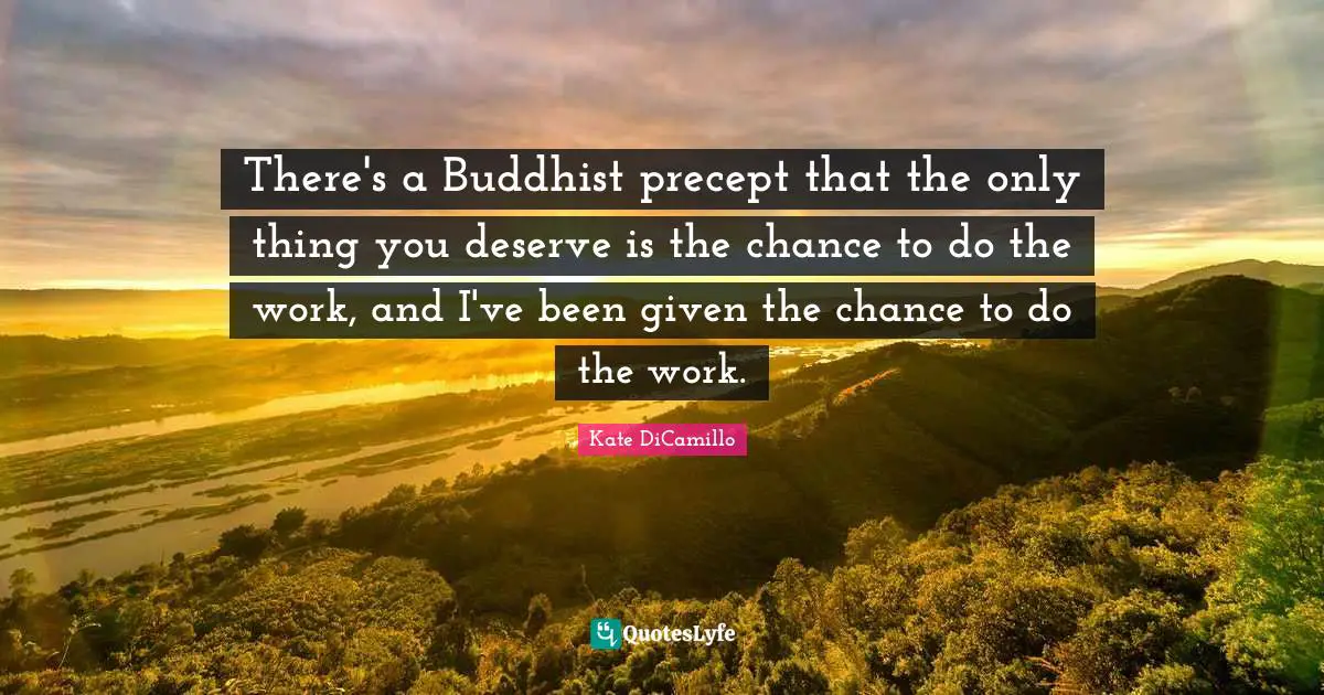 There's a Buddhist precept that the only thing you deserve is the chance to do the work, and I've been given the chance to do the work.