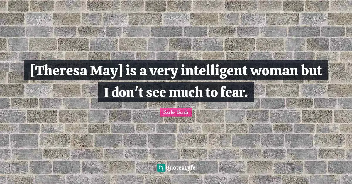 [Theresa May] is a very intelligent woman but I don't see much to fear.