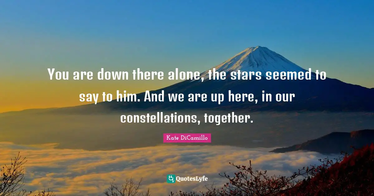 You are down there alone, the stars seemed to say to him. And we are up here, in our constellations, together.