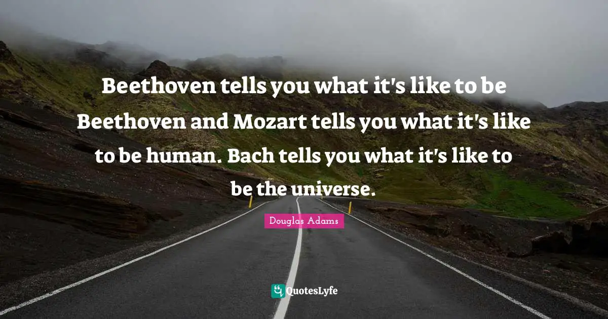 Beethoven tells you what it's like to be Beethoven and Mozart tells you what it's like to be human. Bach tells you what it's like to be the universe.
