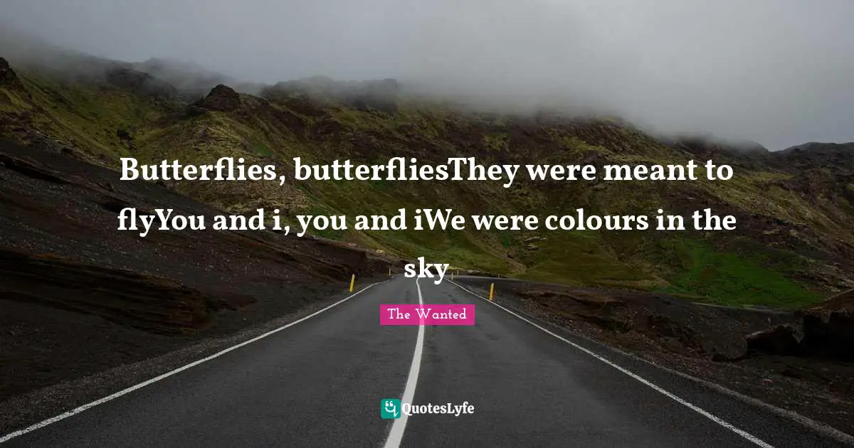 Butterflies, butterfliesThey were meant to flyYou and i, you and iWe were colours in the sky