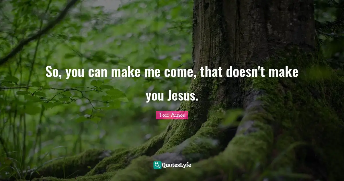 Lyrics Quotes: "So, you can make me come, that doesn't make you Jesus."