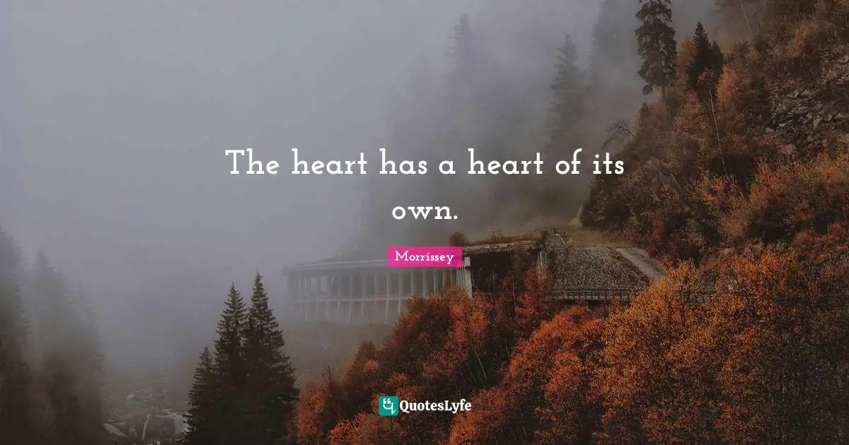 The heart has a heart of its own.