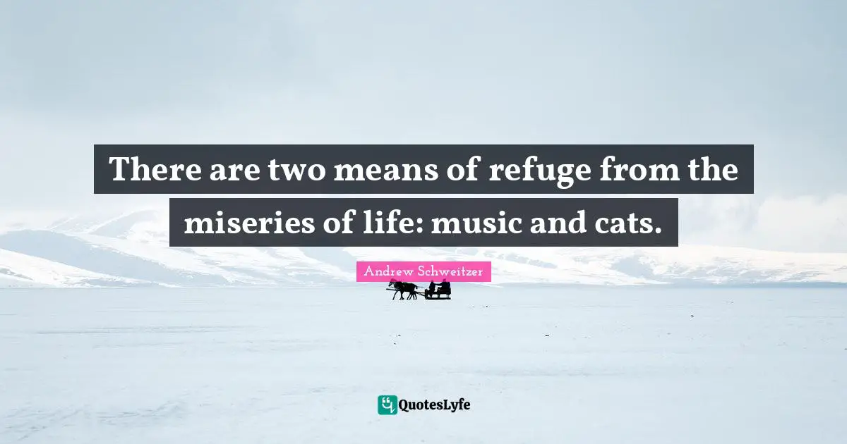 Misery Quotes: "There are two means of refuge from the miseries of life: music and cats."